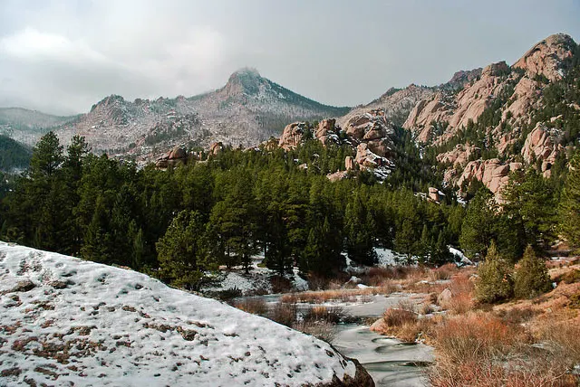 bailey, co